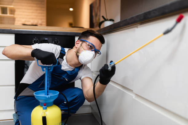 Best Flea Control Services  in Louisiana, MO