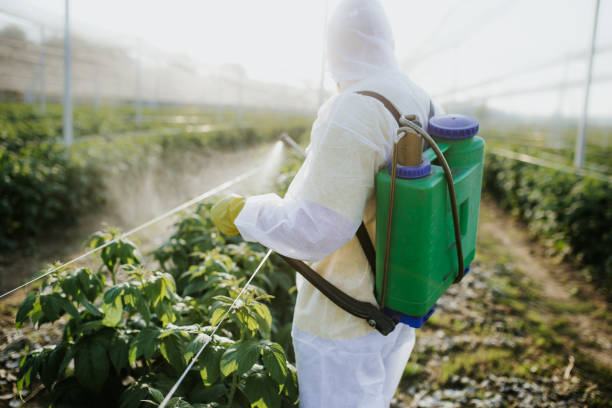 Best Cockroach Control Services  in Louisiana, MO